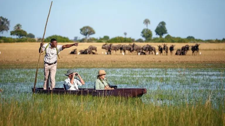6 Unforgettable Experiences You Shouldn’t Miss In Botswana 2