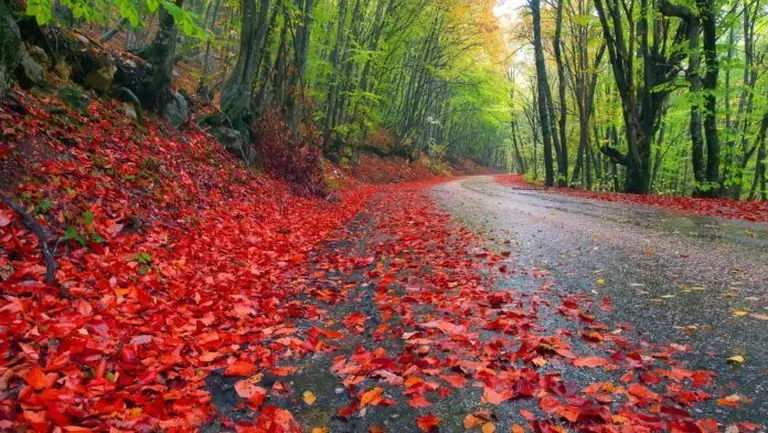 Amazed By The Autumn Paradise Of New England 18