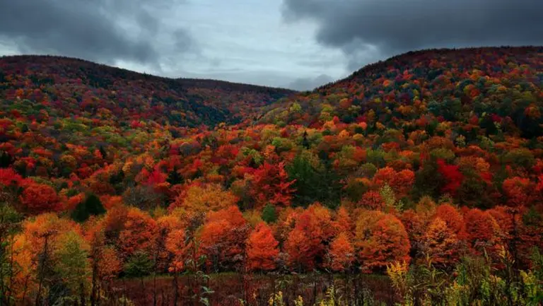 Amazed By The Autumn Paradise Of New England 2