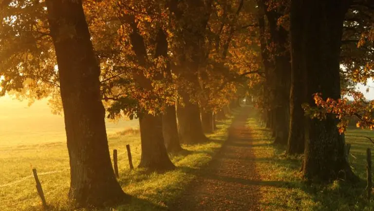 Amazed By The Autumn Paradise Of New England 20