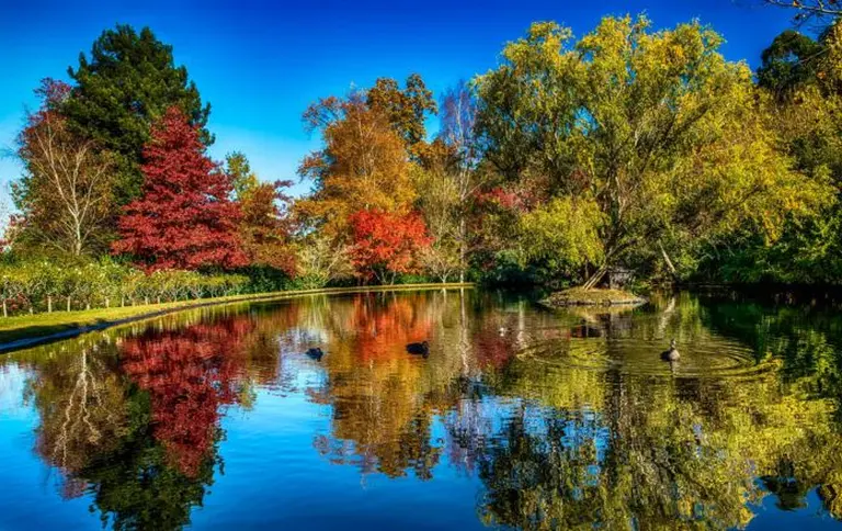 Amazed By The Autumn Paradise Of New England 5