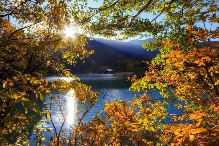 Amazed By The Autumn Paradise Of New England 7