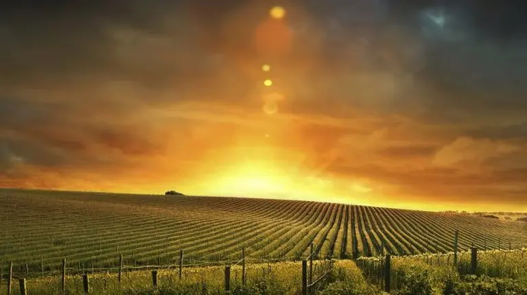 Barossa Valley 1