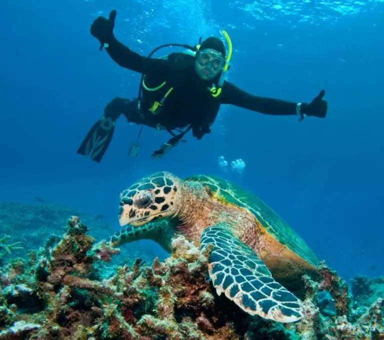 Breathtaking Natural Wonders In Australia That Will Steal Your Heart 2_2