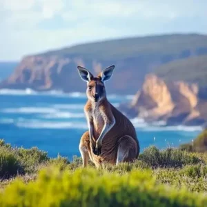 Discover Kangaroo Island – Australia’s Untamed Symbol Of Beauty