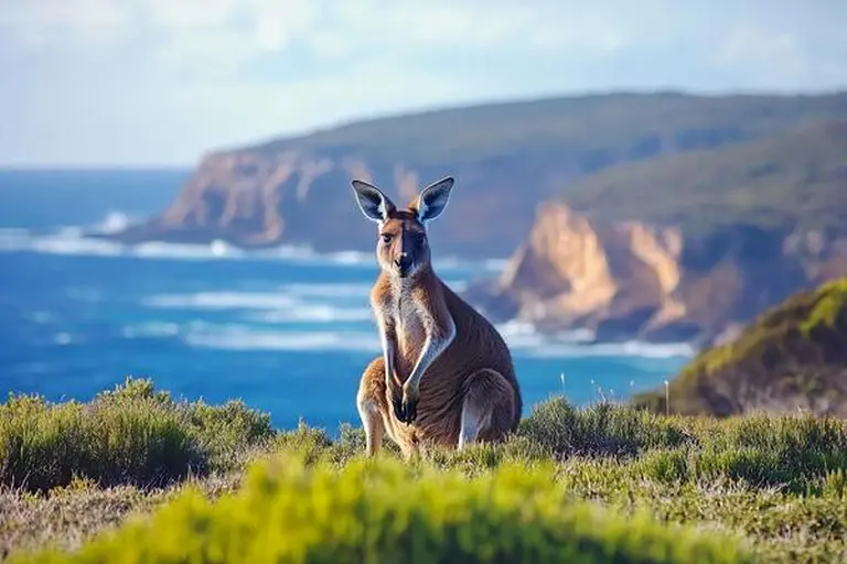 Discover Kangaroo Island – Australia’s Untamed Symbol Of Beauty
