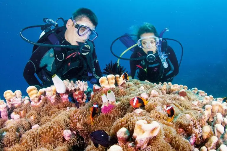Discover The Romantic Paradise Of Whitsunday Islands 6