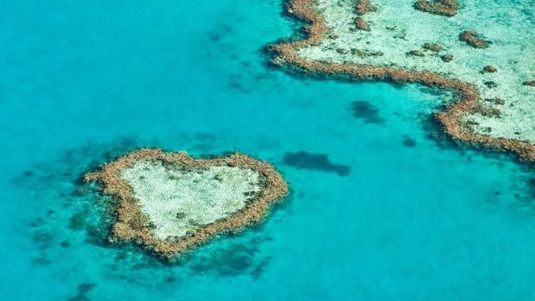 Discover The Romantic Paradise Of Whitsunday Islands 7