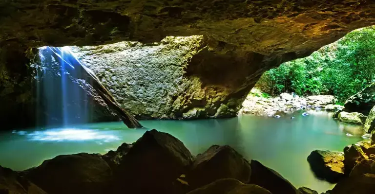 Gondwana Rainforests Of Australia 4