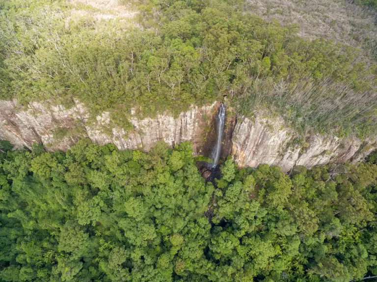 Gondwana Rainforests Of Australia 5