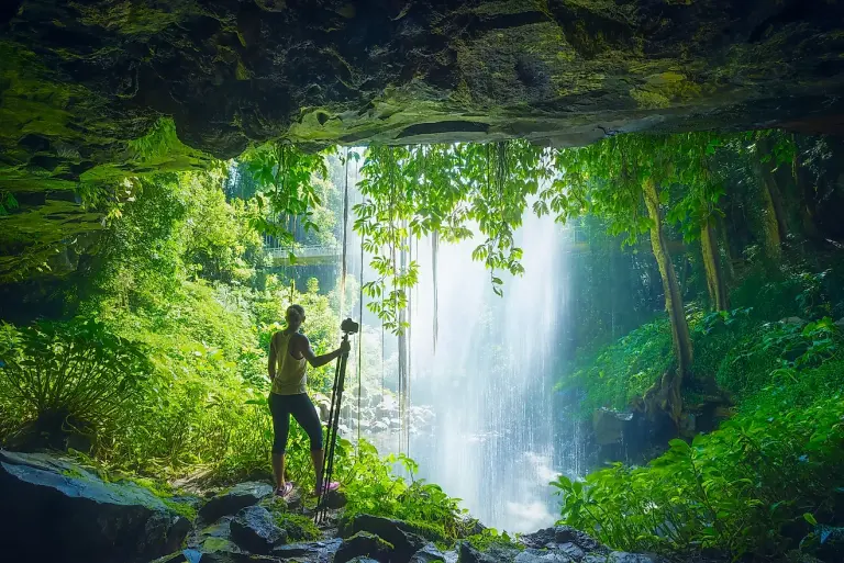 Gondwana Rainforests Of Australia 7