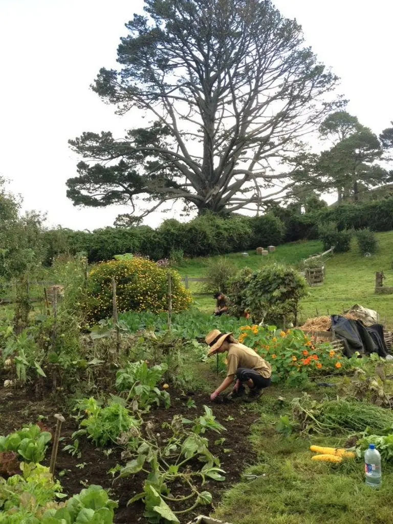 Step Into The Magical World Of Hobbiton 4