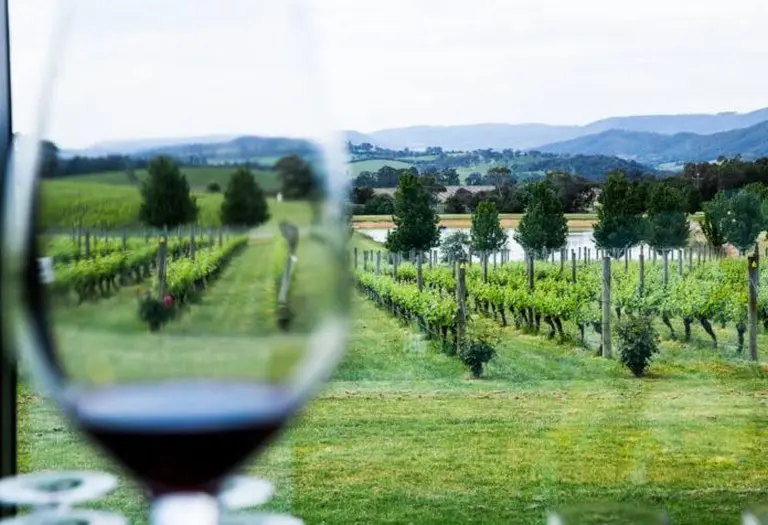 The Endless Vineyards Of Australia 2