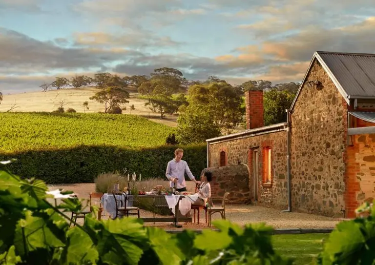 The Endless Vineyards Of Australia 8