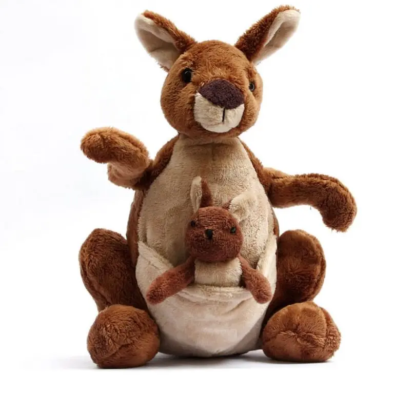 Things You Must Know Before Traveling To Australia 2