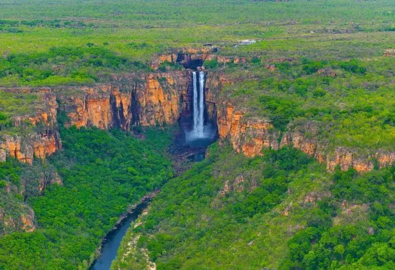 Untamed Beauty Of Kakadu