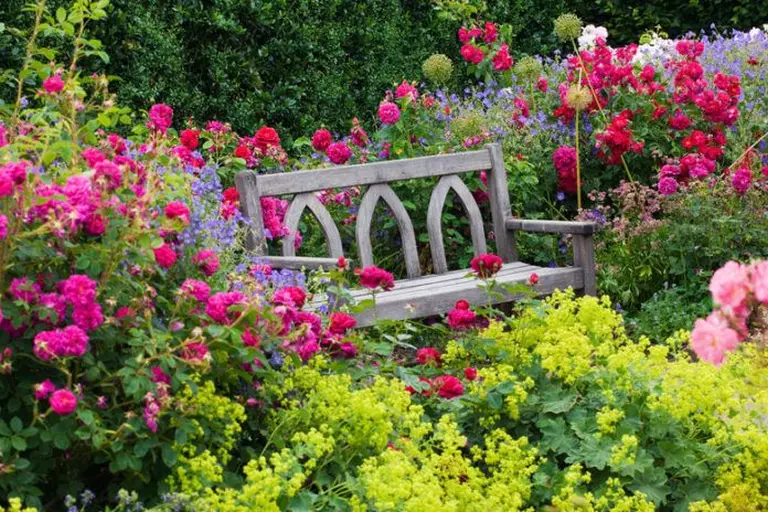 Australia’s Most Beautiful Flower Seasons 1