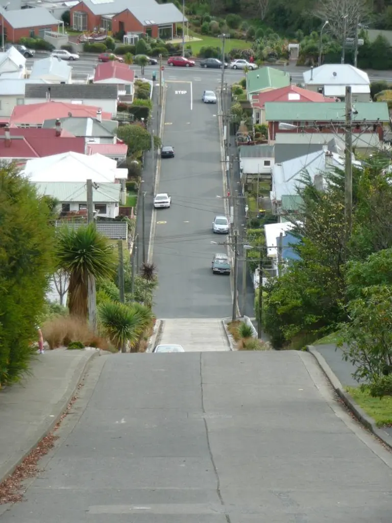 Baldwin Street 2