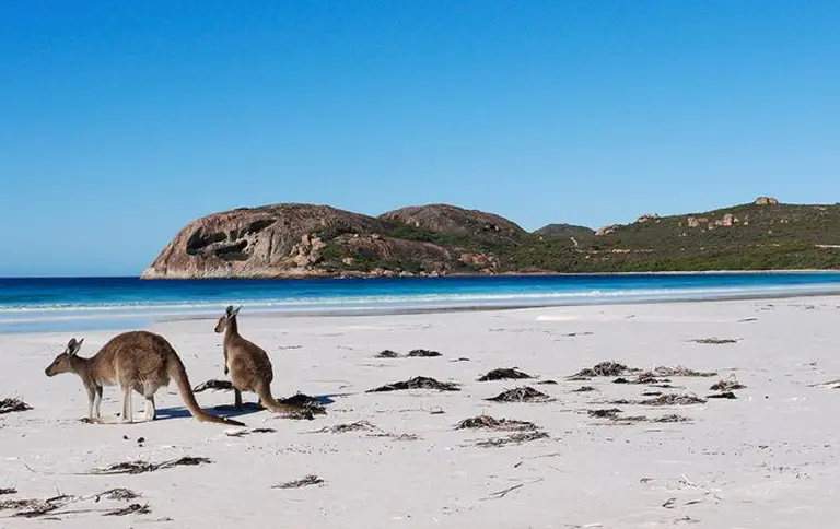 Explore The Colorful Beauty Of Australia Through The Four Seasons 1