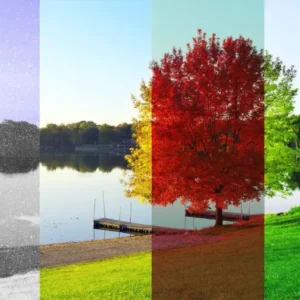 Explore The Colorful Beauty Of Australia Through The Four Seasons