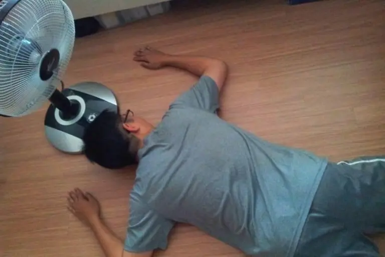 Fan Death 1