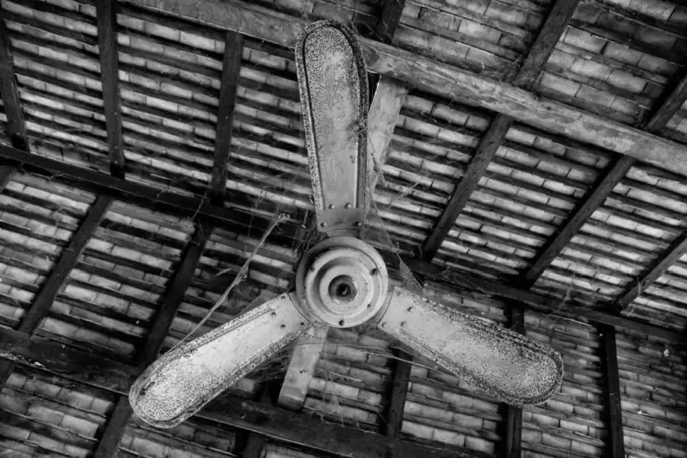 Fan Death 3