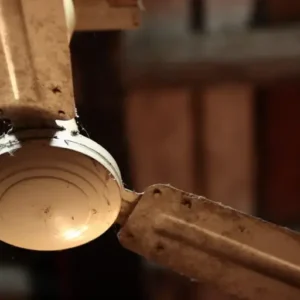 Fan Death