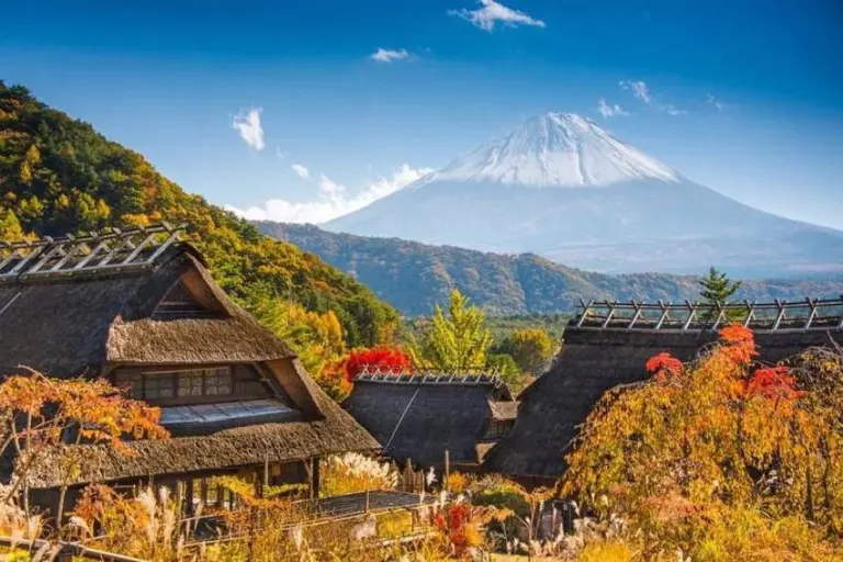 Things To Know Before Traveling To Tokyo, Japan 1