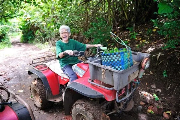 Pitcairn Island 8