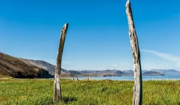 Whale Bone Alley 1