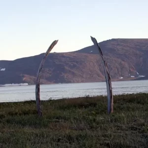 Whale Bone Alley