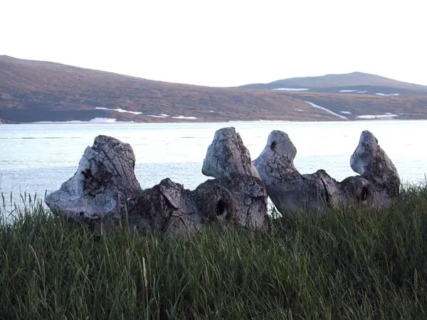 Whale Bone Alley 4