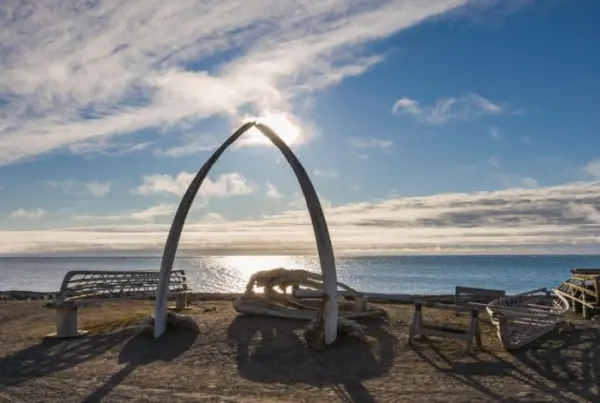 Whale Bone Alley 5