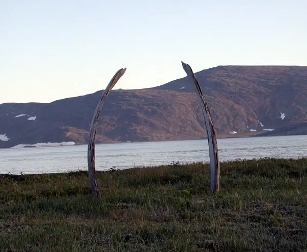 Whale Bone Alley