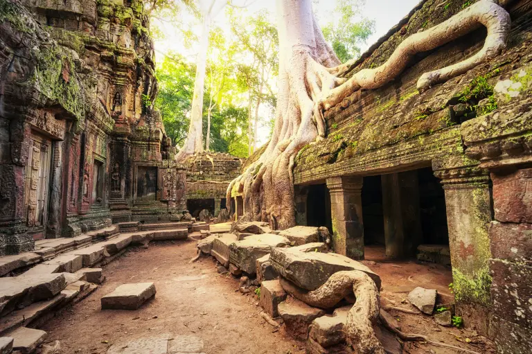 The Temple Engulfed By Trees In Cambodia 11