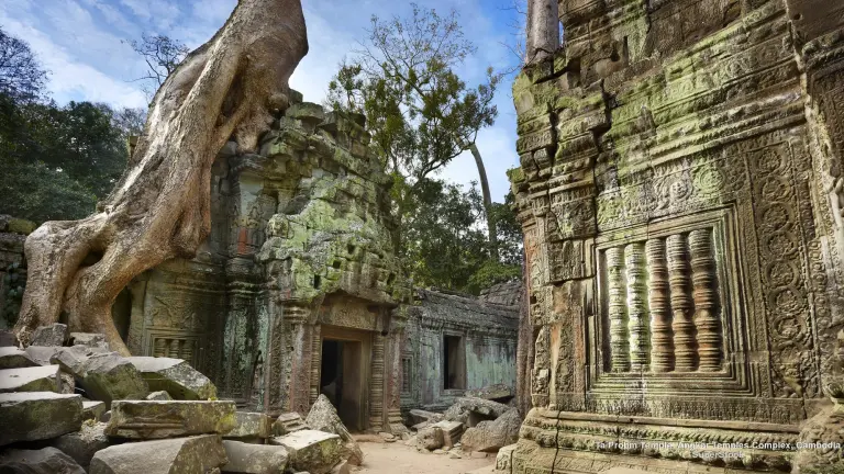 The Temple Engulfed By Trees In Cambodia 2