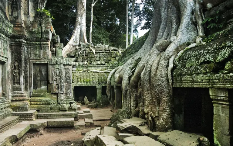 The Temple Engulfed By Trees In Cambodia 4