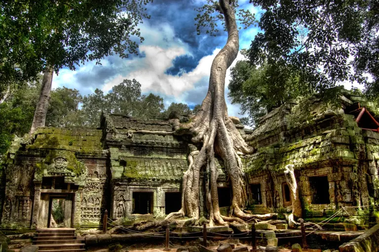 The Temple Engulfed By Trees In Cambodia