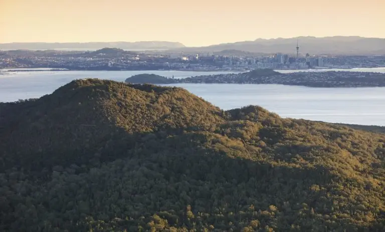 Auckland 1