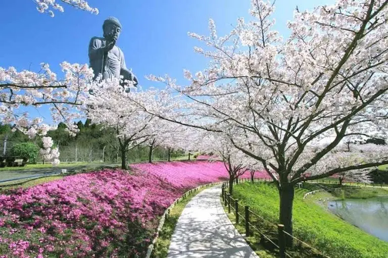 Discover Ibaraki, Japan – A Destination Full Of Endless Charm 2