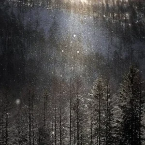 Dreaming In Hokkaido’s Diamond Dust 1