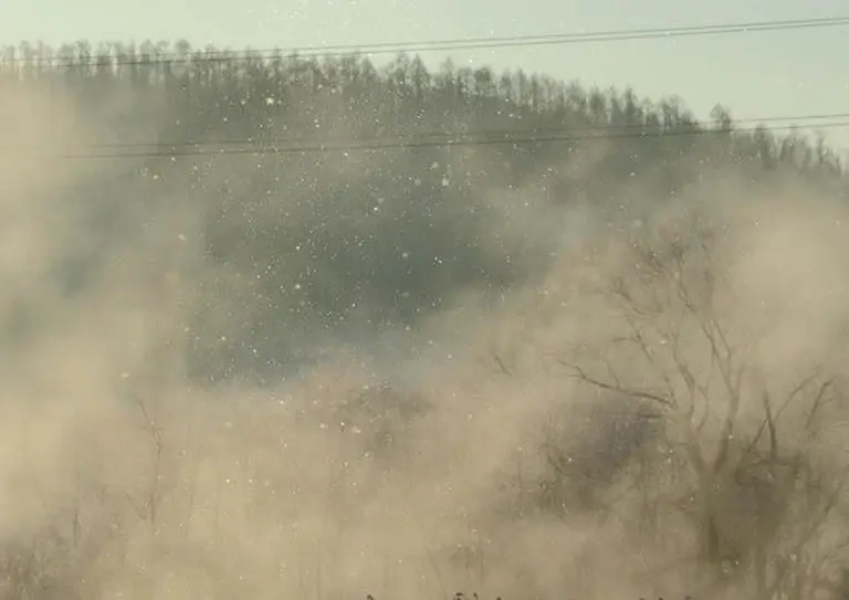 Dreaming In Hokkaido’s Diamond Dust 2