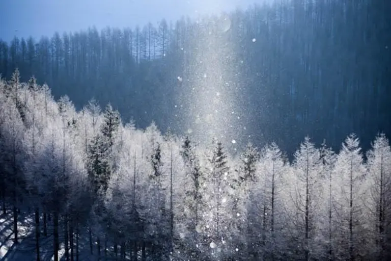 Dreaming In Hokkaido’s Diamond Dust 5