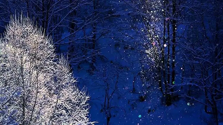 Dreaming In Hokkaido’s Diamond Dust 6
