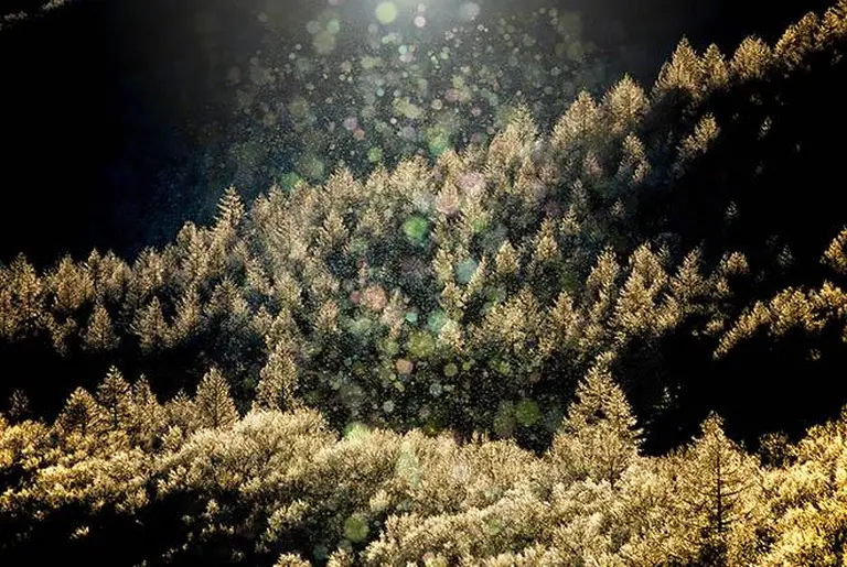 Dreaming In Hokkaido’s Diamond Dust 8