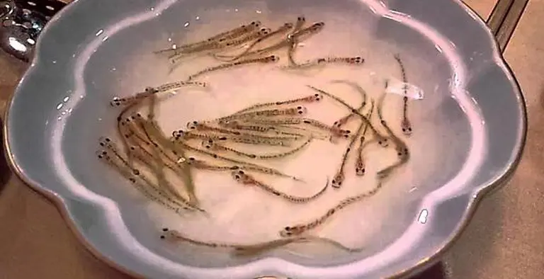 Japan And The Dishes That Look Like They Came Straight Out Of A Horror Movie 1-2