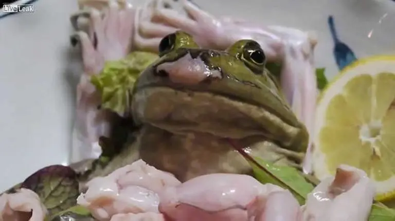 Japan And The Dishes That Look Like They Came Straight Out Of A Horror Movie 4-1