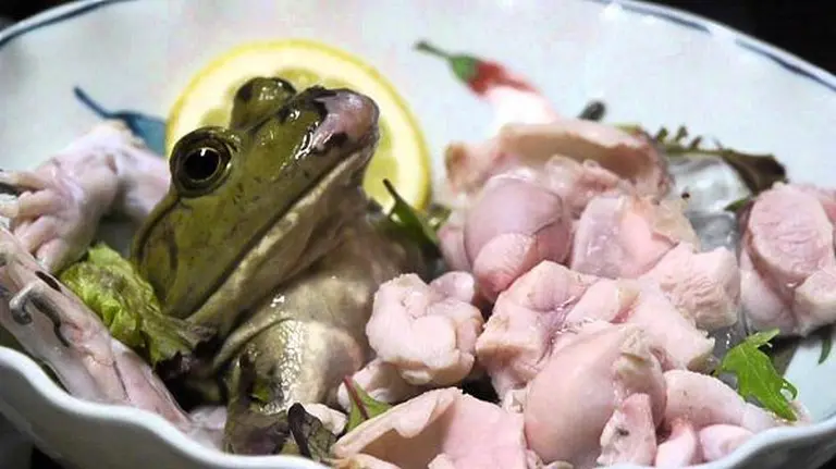 Japan And The Dishes That Look Like They Came Straight Out Of A Horror Movie 4