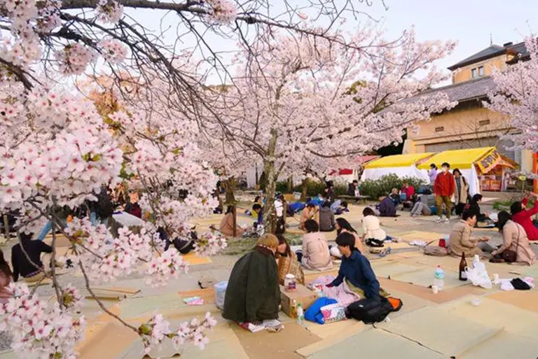 Unusual Traditional Festivals In Japan That Fascinate Travelers 6