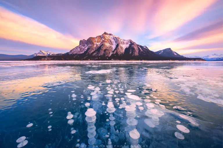 Winter Masterpiece From Frozen Bubbles At Abraham Lake 1